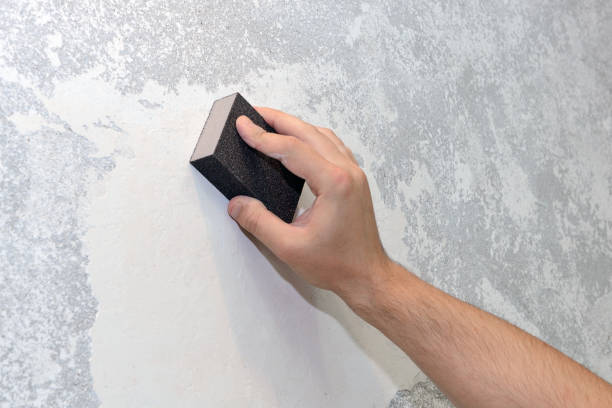 Best Attic Mold Removal  in Comanche, OK