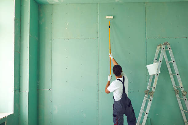 Best Mold Removal for HVAC Installations  in Comanche, OK