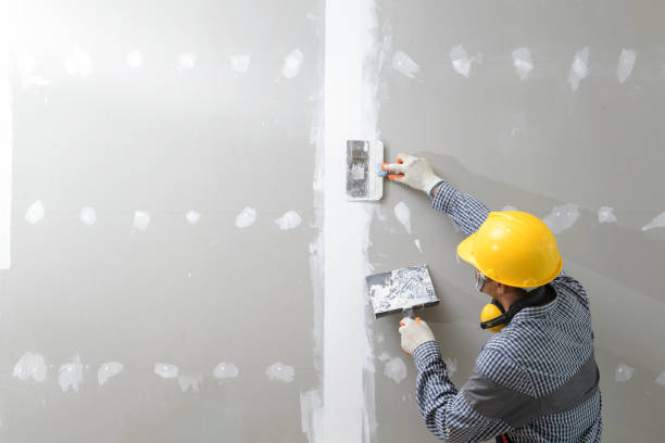 Professional Mold Removal in Comanche, OK