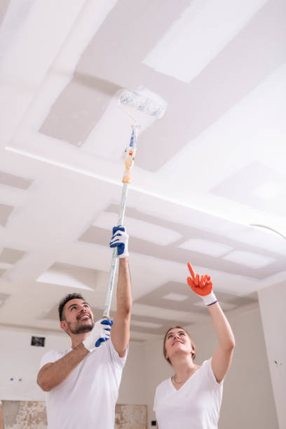 Best Emergency Mold Remediation  in Comanche, OK