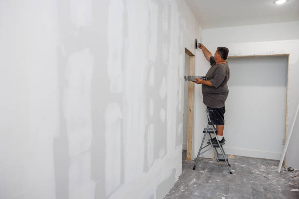 Best Real Estate Mold Inspection  in Comanche, OK