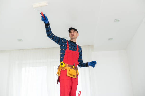 Best Post-Construction Mold Inspection  in Comanche, OK
