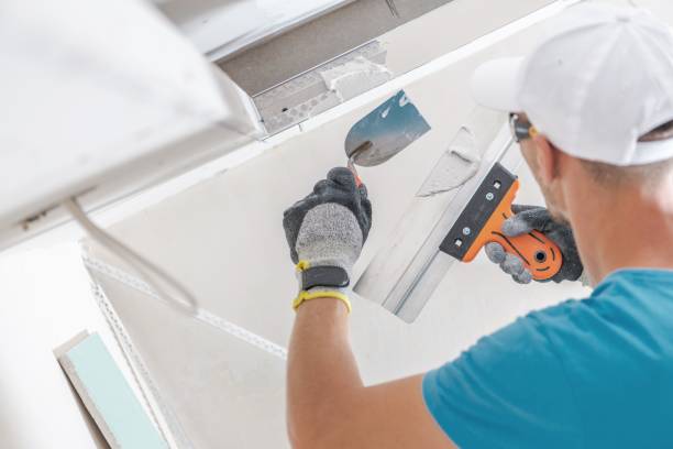 Best Environmental Consulting for Mold Prevention  in Comanche, OK